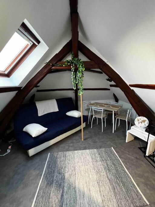 Tres Beau Studio Mansarde, Centre De Bourges Διαμέρισμα Εξωτερικό φωτογραφία