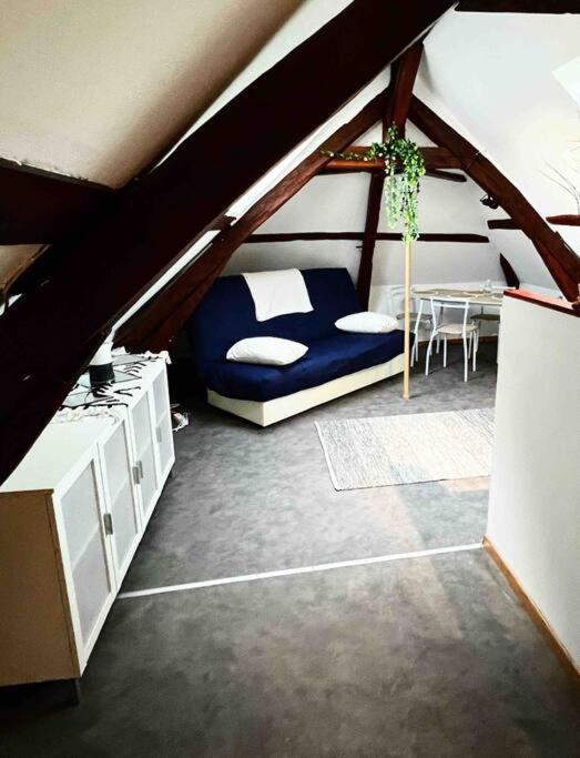 Tres Beau Studio Mansarde, Centre De Bourges Διαμέρισμα Εξωτερικό φωτογραφία